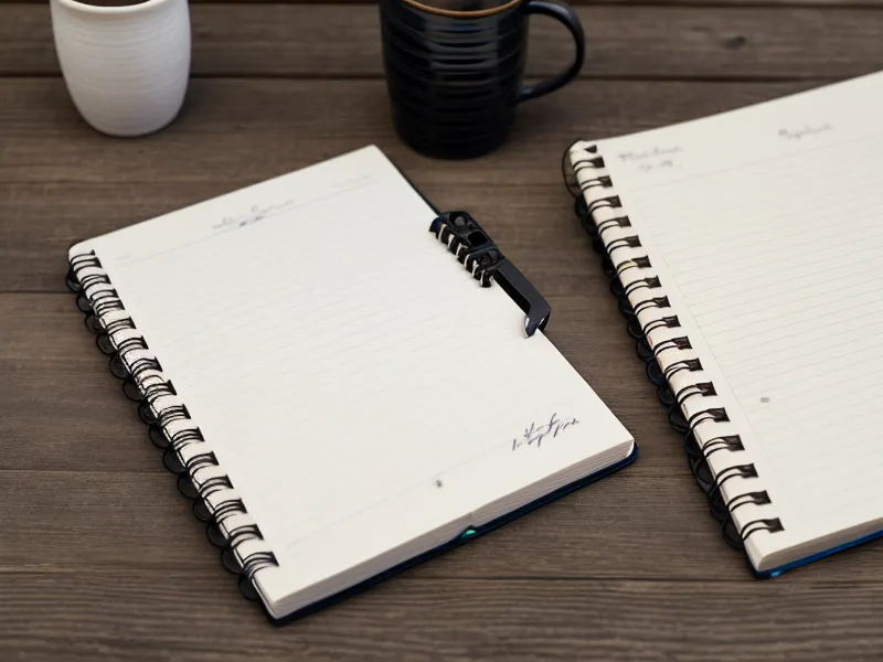 Close-up of a handwritten joint health tracking log in a notebook.